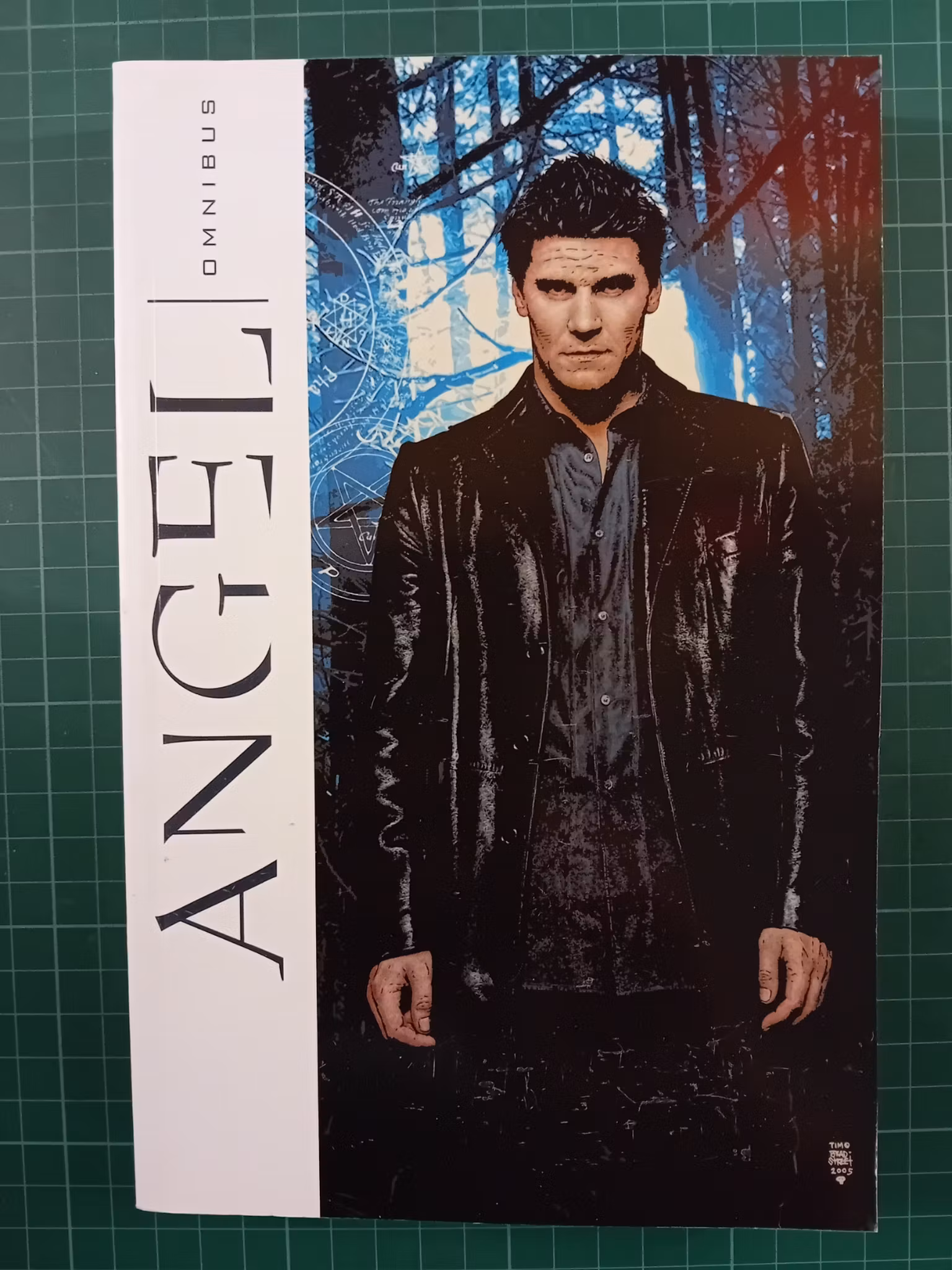 Angel Omnibus 488 sider