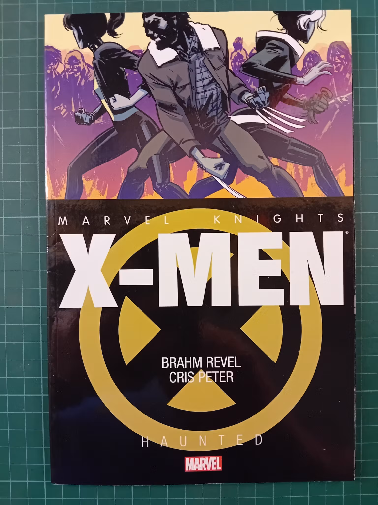 Marvel Knights: X-men Haunted
