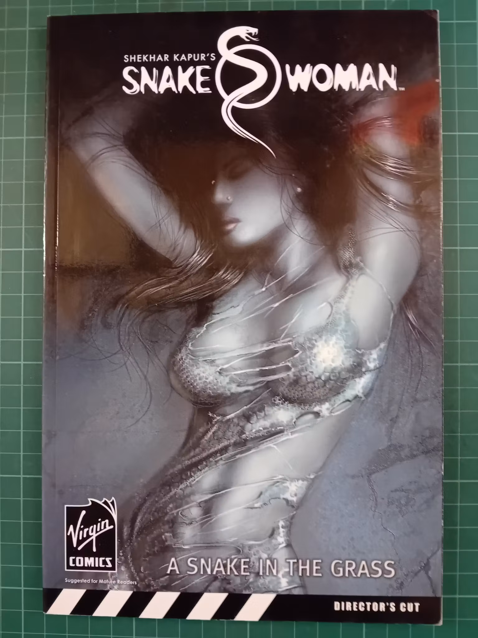Snake woman vol 1 a snake in the grass