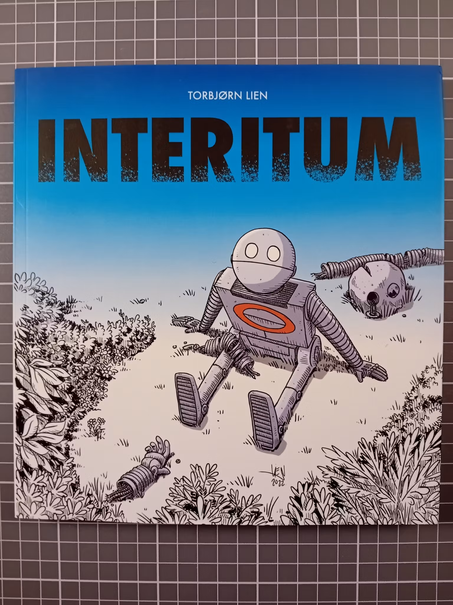 Interium