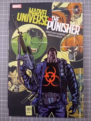 Marvel universe vs The Punisher
