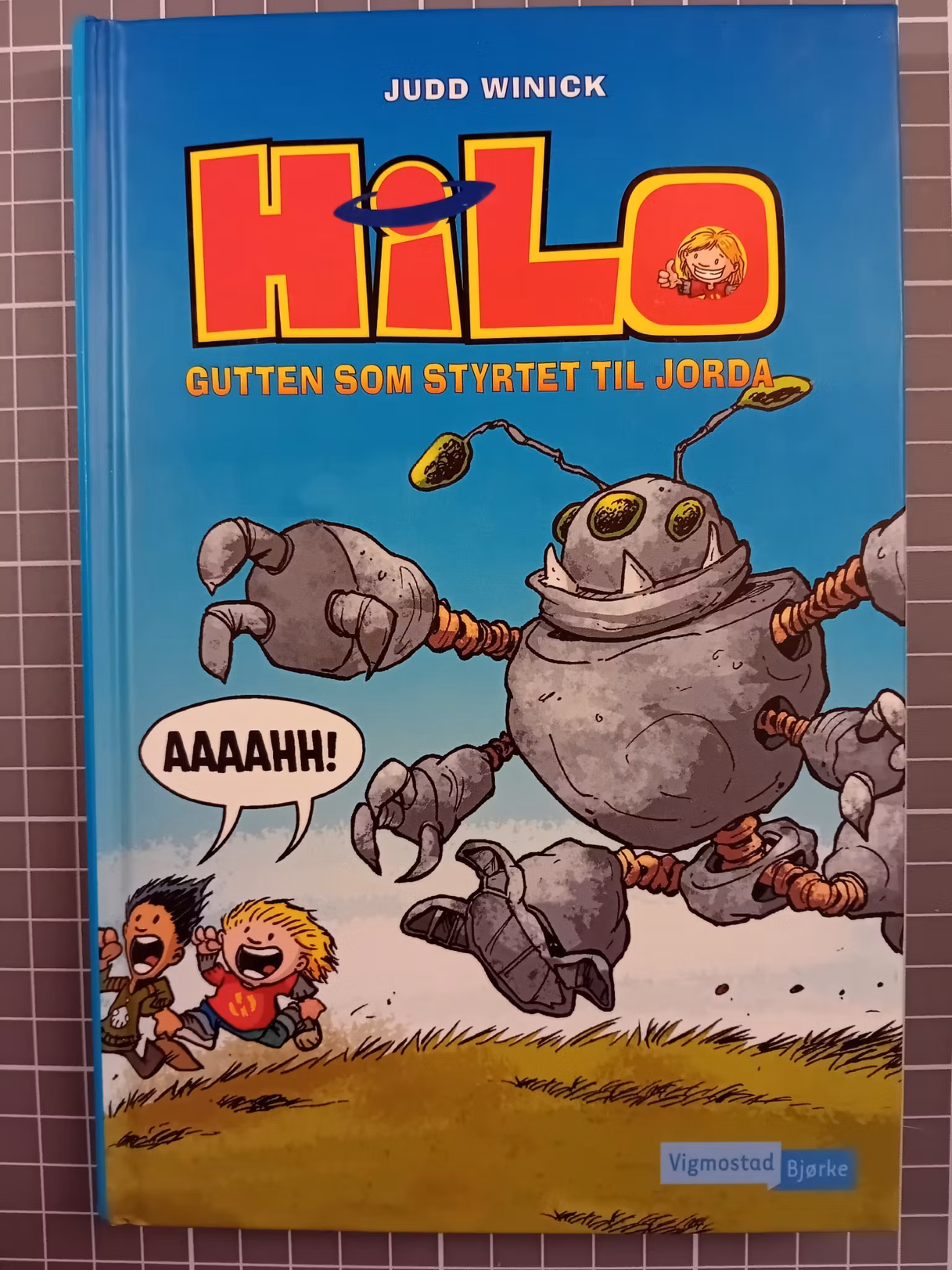 Hilo Gutten som styrtet til jorda