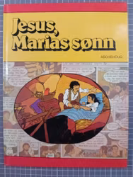 Jesus, Marias sønn