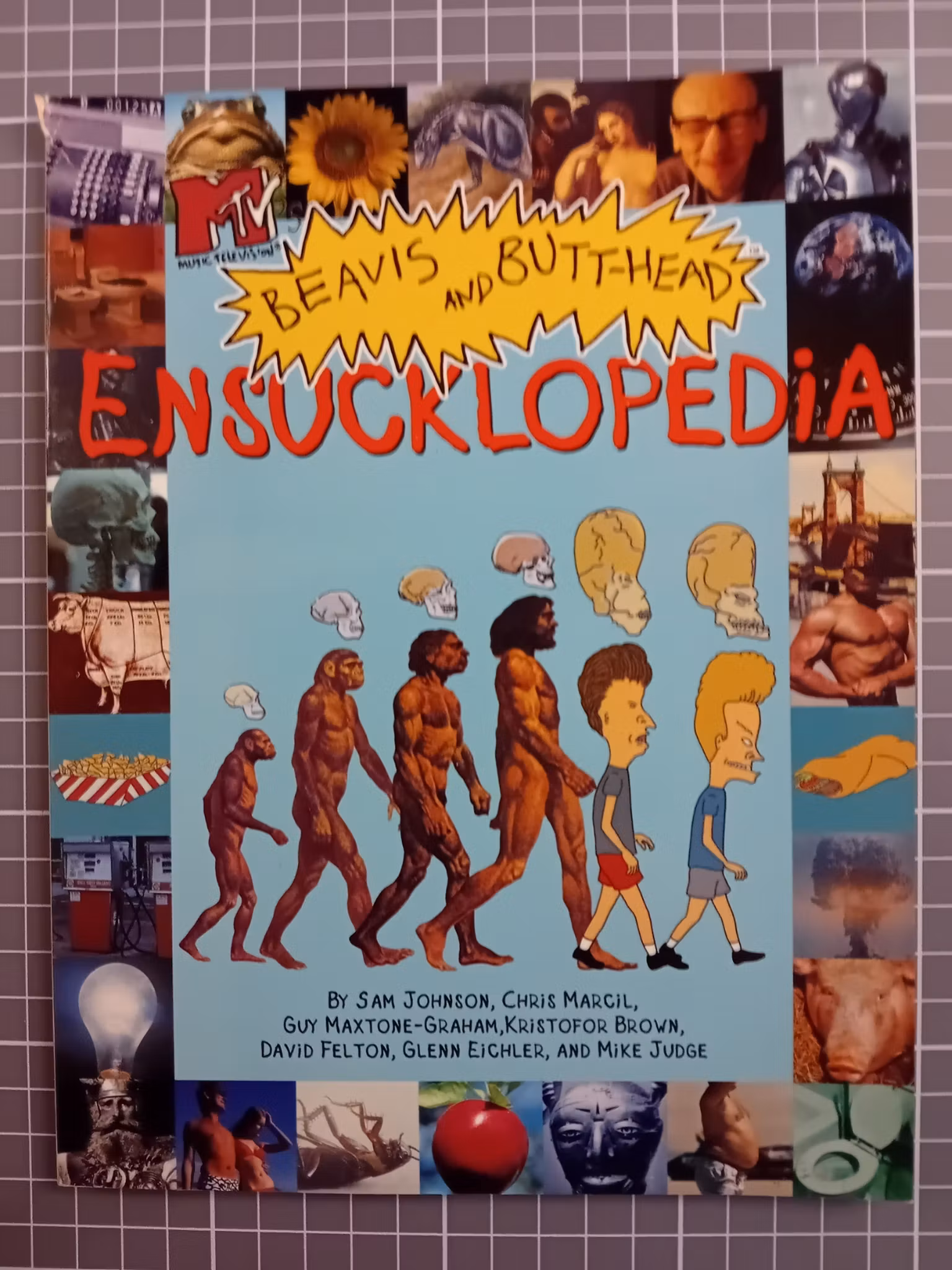 Beavis and Butthead Ensucklopedia