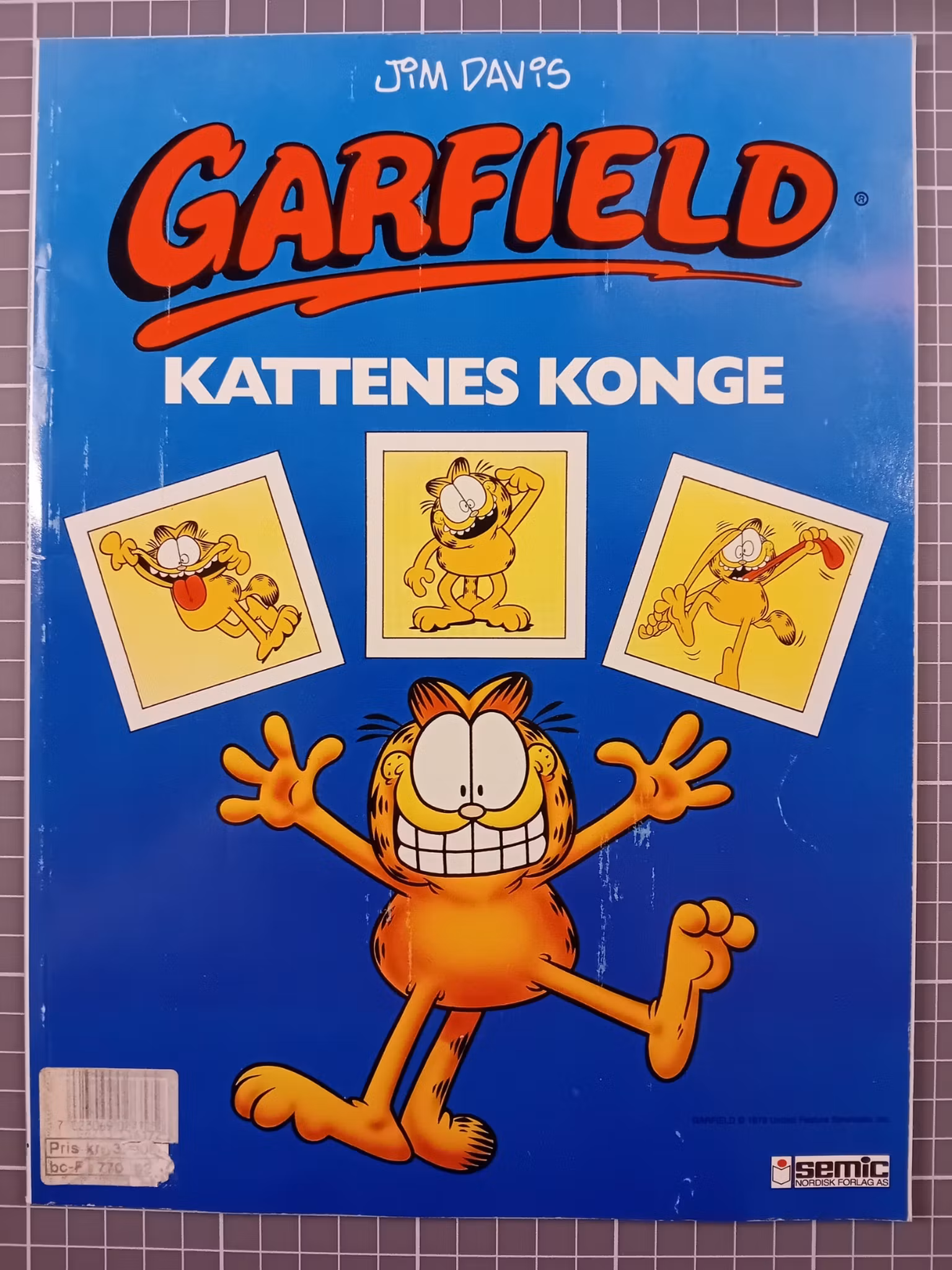 Garfield Kattenes konge