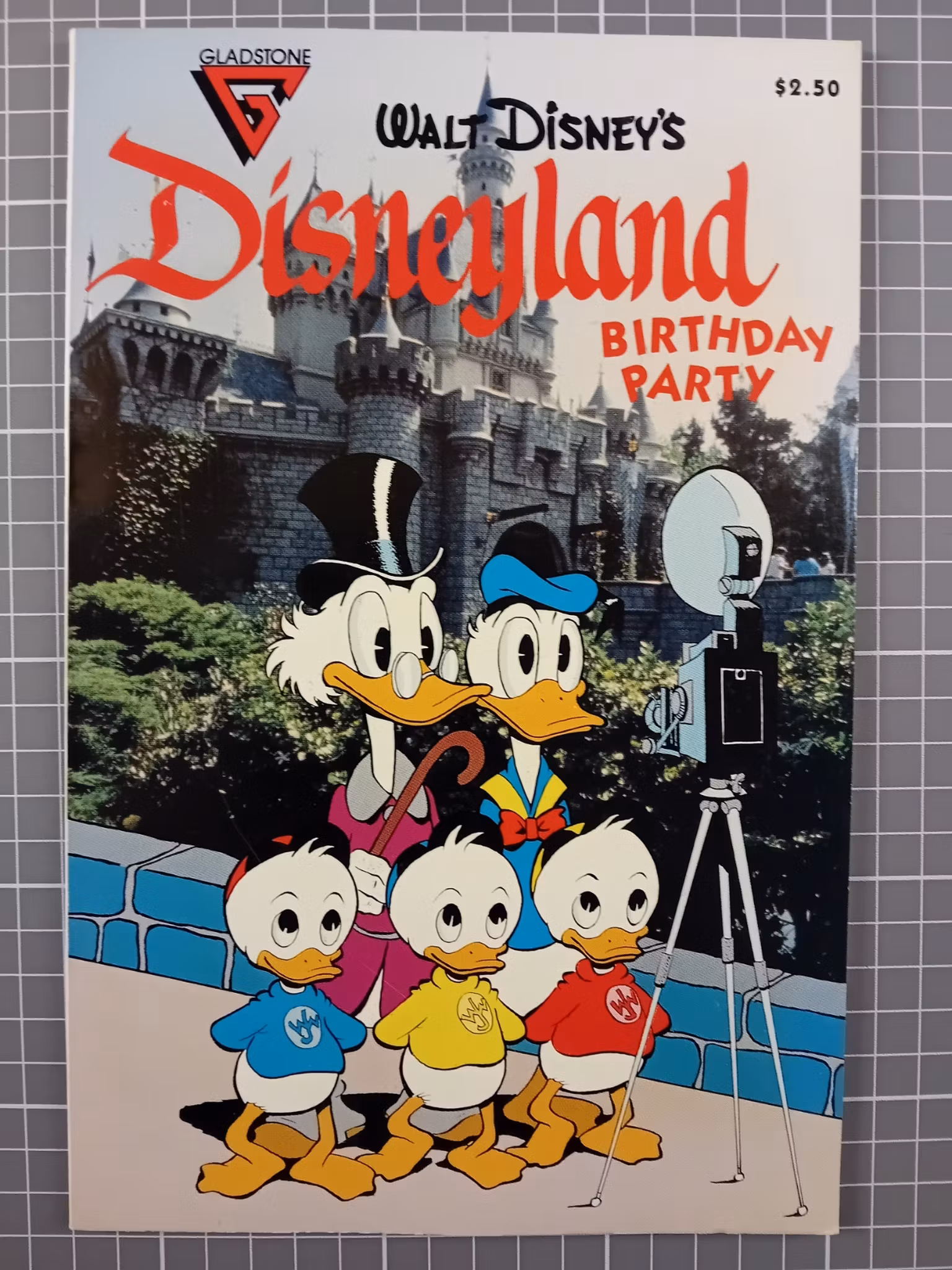 Disneyland Birthday party (USA)