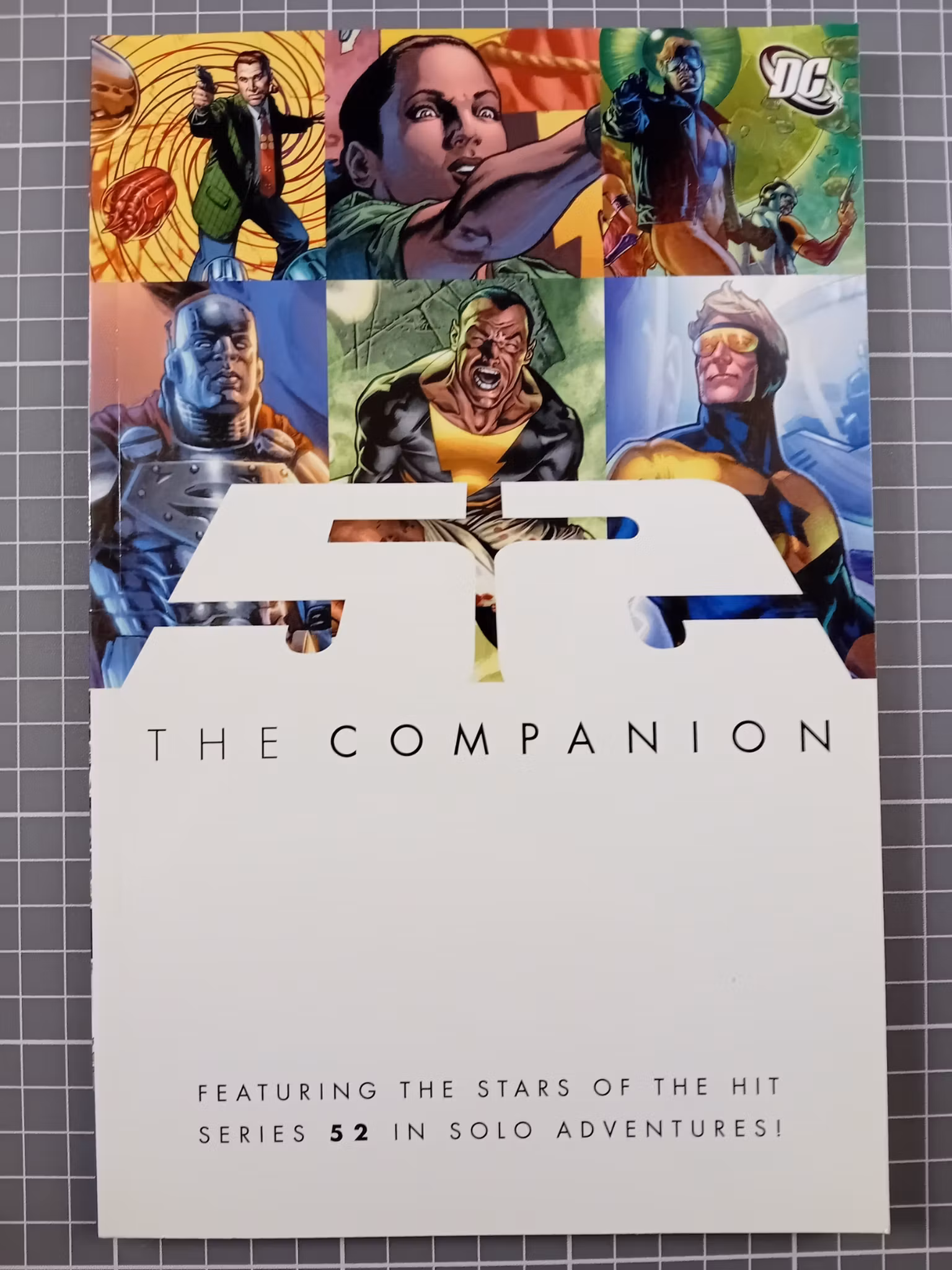 52 The companion