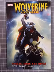 Wolverine first class Ninjas, gods and divas