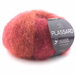 Plassard Algasoie Iprimee