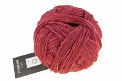 Bio Merinos