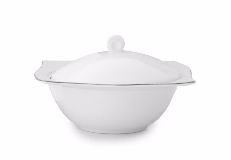 Astro Silver Terrin
