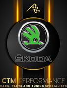 SKODA STYLING