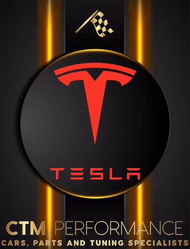 TESLA STYLING