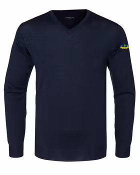 Elegant pullover V-ringad