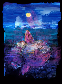 I am the Moon Fish