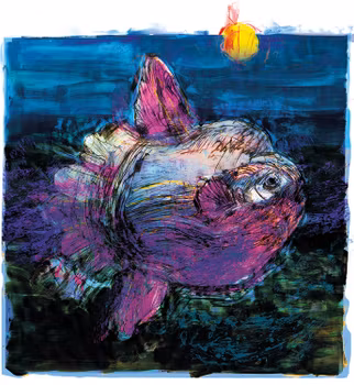 I am the Moon Fish