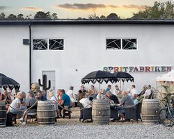 Ginprovning i Södra Sandby