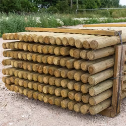 Trästolpe 100x175 mm