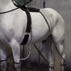 SmartCooler för Ponny