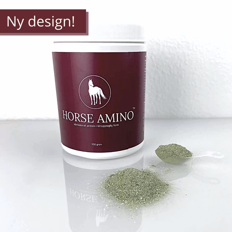 Horse Amino proteintillskott för häst 900 g