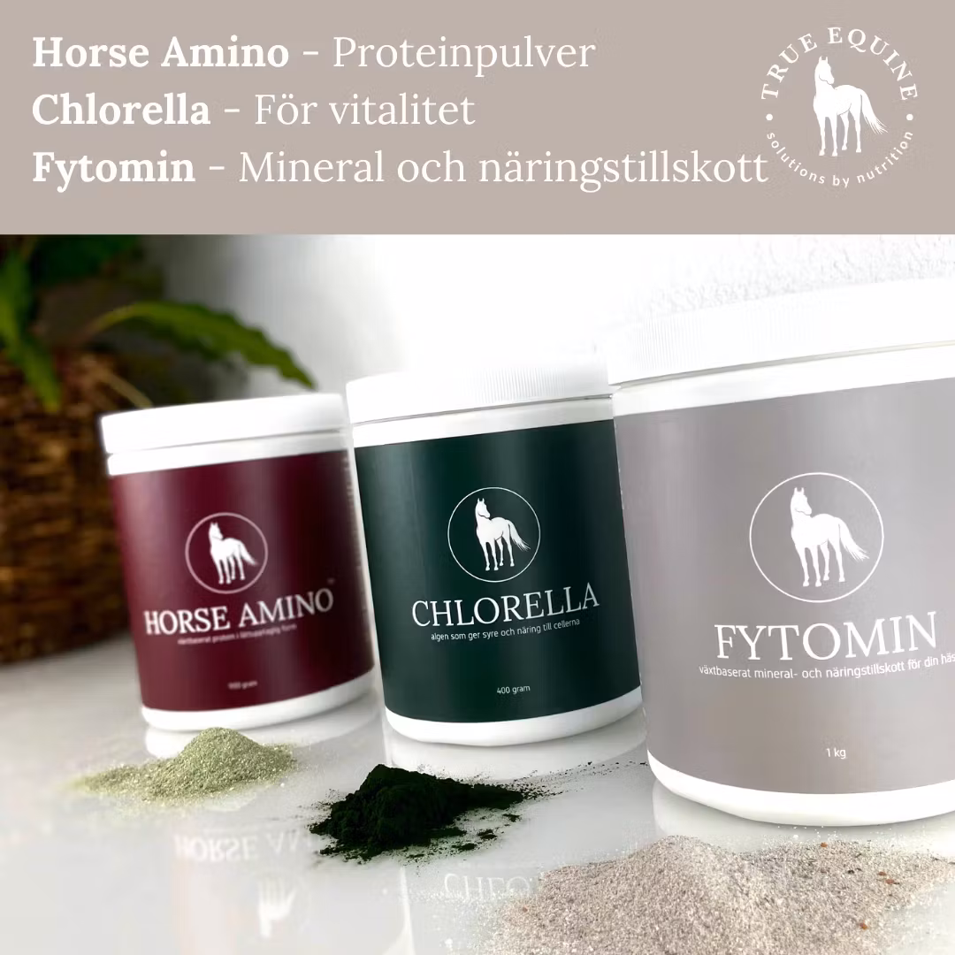 Horse Amino proteintillskott för häst 900 g