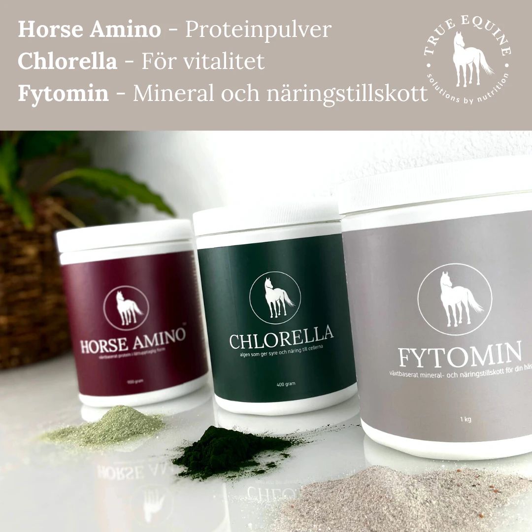 FYTOMIN - 1 kg Växtbaserat mineral och näringstillskott