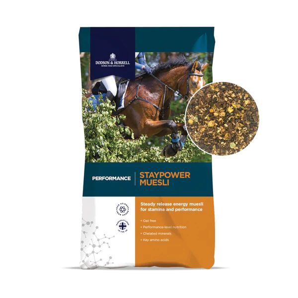 Staypower Müsli 20 kg