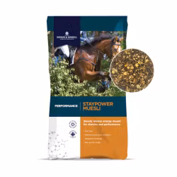 Staypower Müsli 20 kg