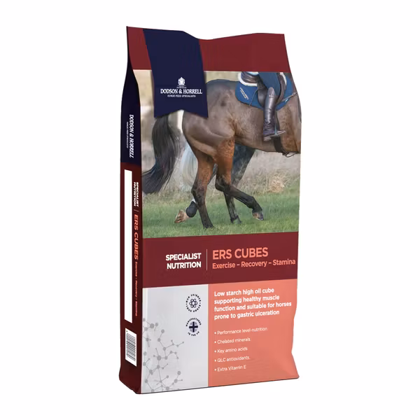 ERS cubes 20 kg