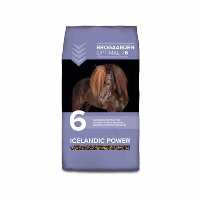 Optimal 6 - Icelandic Power, 15 kg