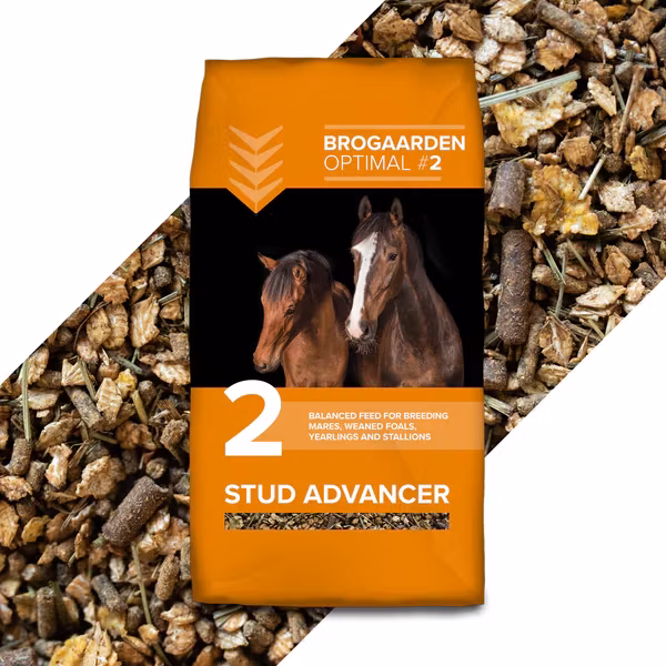 Optimal 2 - Stud Advancer 15 kg
