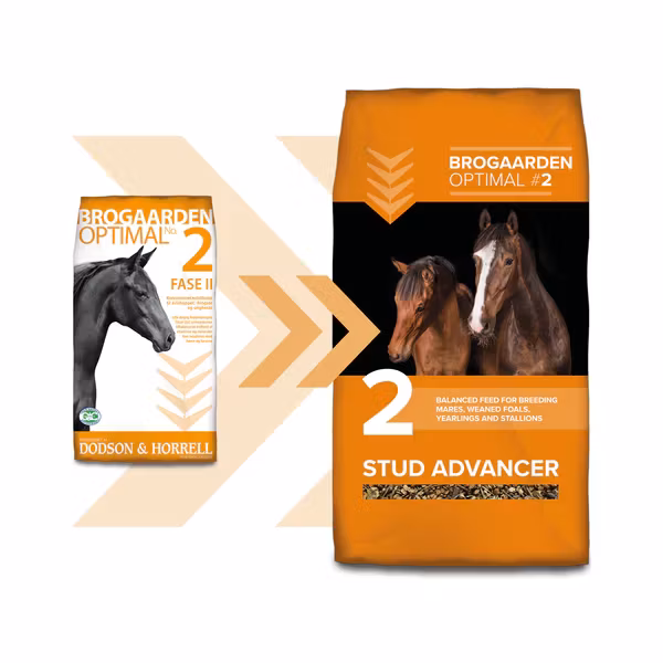 Optimal 2 - Stud Advancer 15 kg