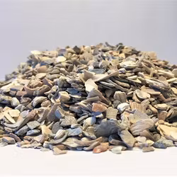 Snäckskal 10 Kg