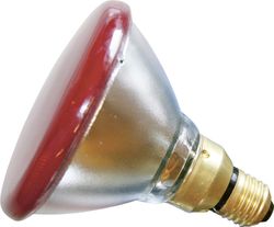 Glödlampa Ekonomi PAR 100W