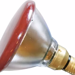 Glödlampa Ekonomi PAR 100W