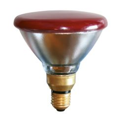 Glödlampa Ekonomi PAR 100W