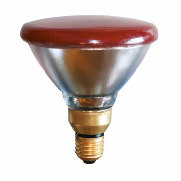 Glödlampa Ekonomi PAR 100W