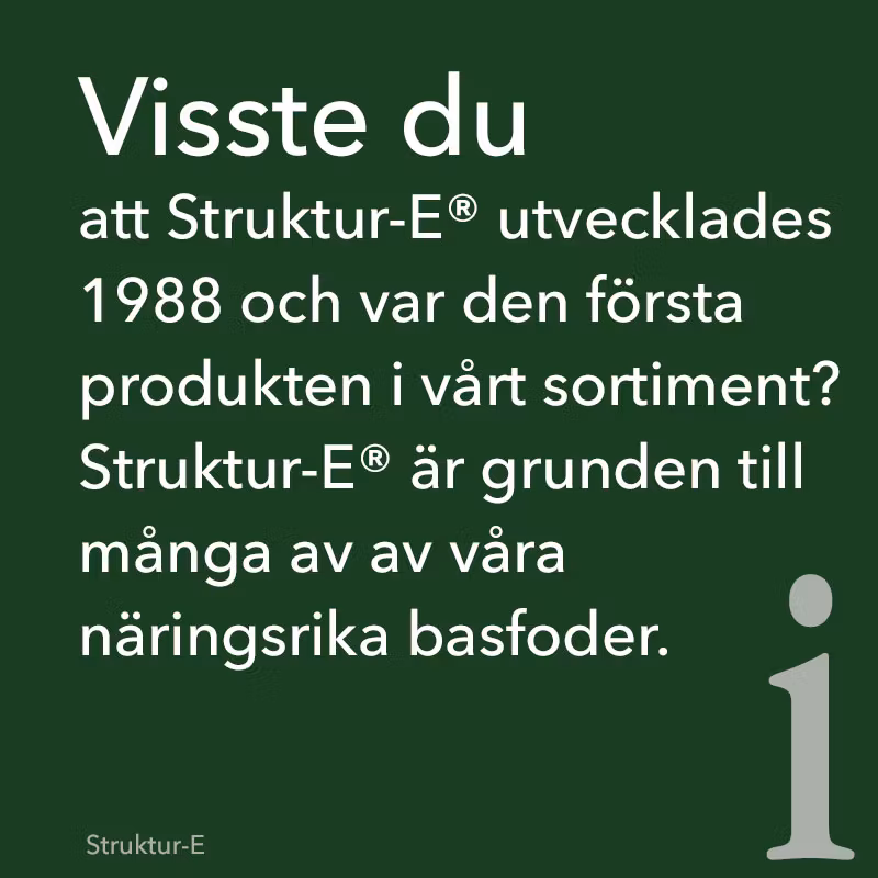 StrukturE