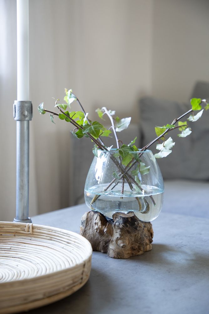 Glasvas på trädrot 20 cm