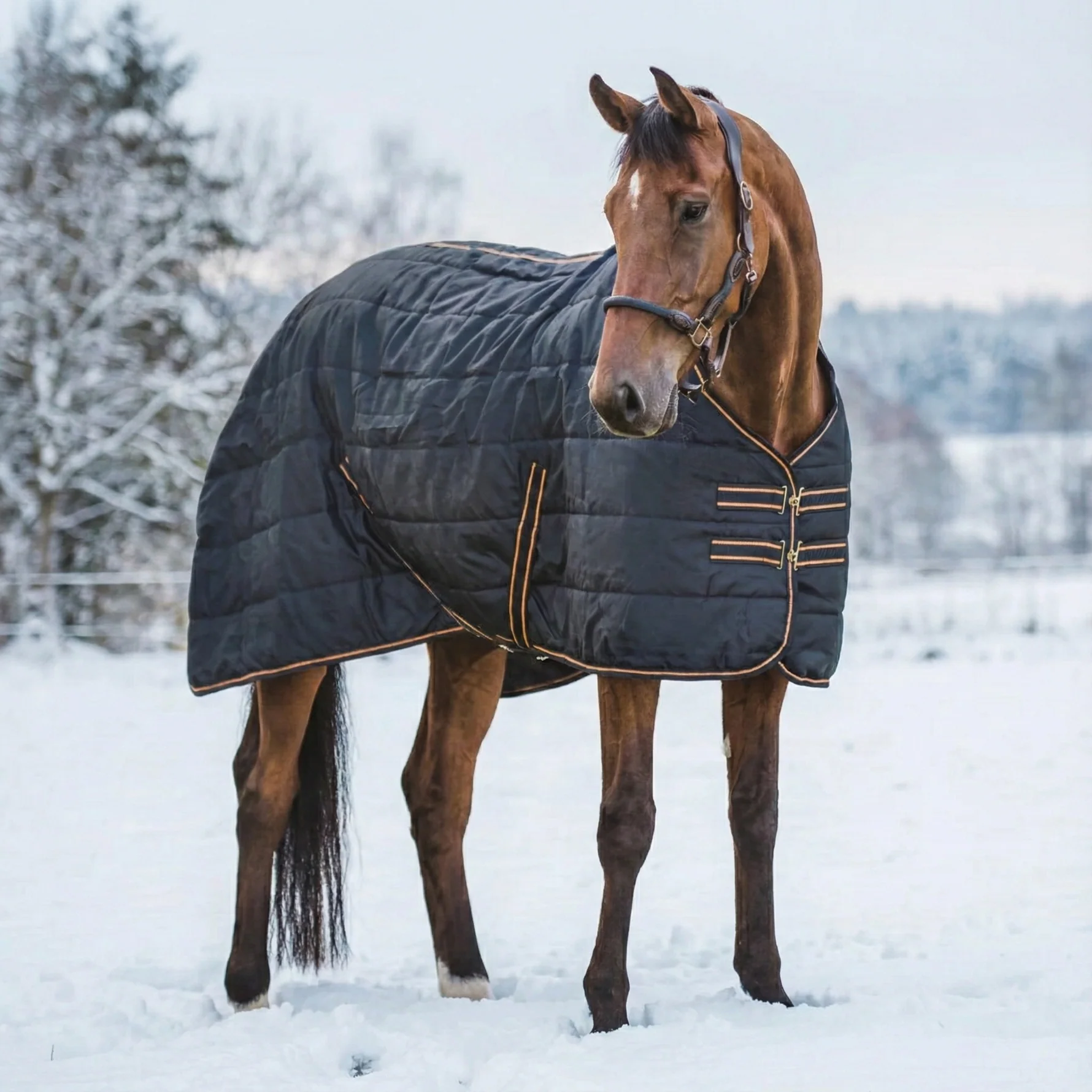 Stalltäcke Blaze 200 gram - Stl:125-165