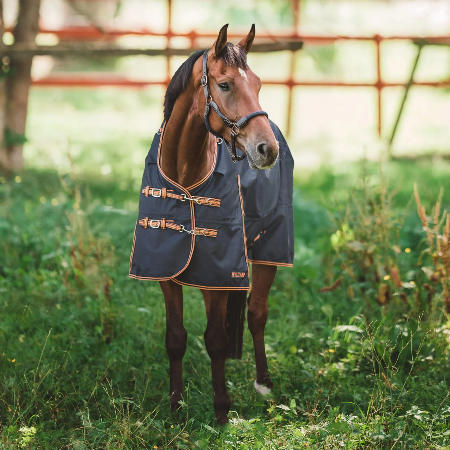 Regntäcke Dusty 0 gram - Stl:125-165