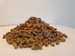 Betfor Pellets 20 kg