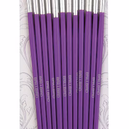 40% Brillbird Penselkit