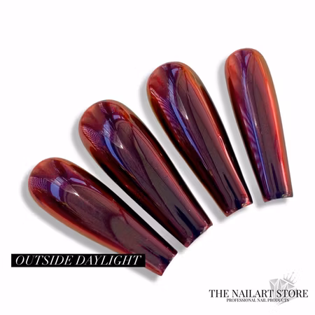 Black Tulip Chameleon Chrome