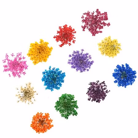 Torkade mini blommor