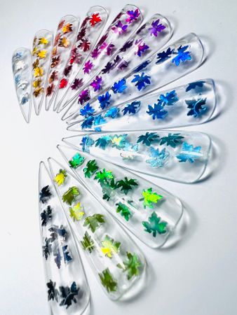 Leaves Collection