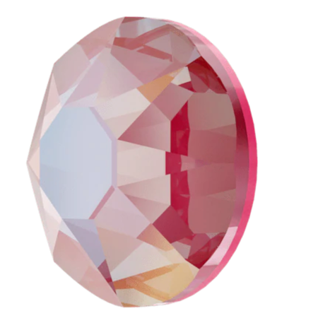 Lotus Pink Delite