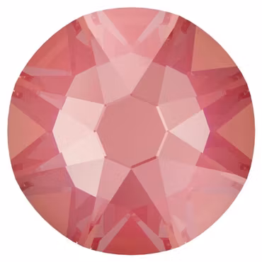 Lotus Pink Delite