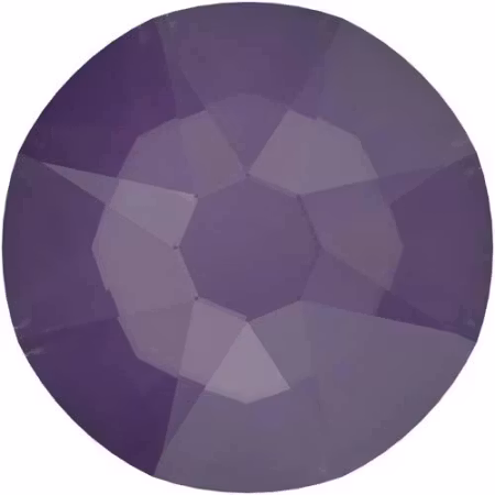 Purple Ignite