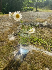 Blomhållare grön